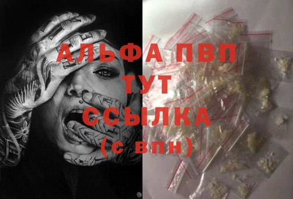 индика Аркадак