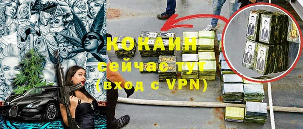 индика Аркадак