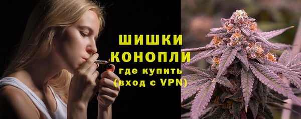 индика Аркадак